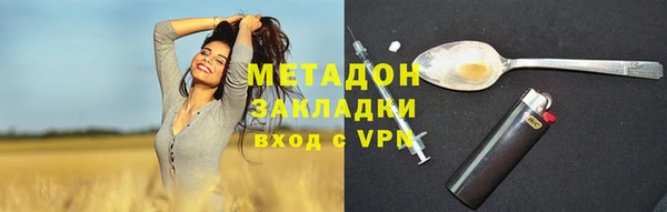 ПСИЛОЦИБИНОВЫЕ ГРИБЫ Арсеньев